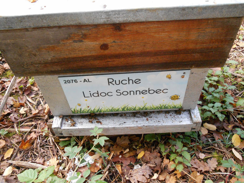 La ruche Lidoc Sonnebec